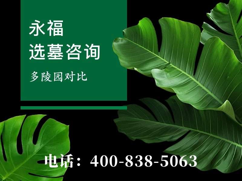 永福墓园全域绿化升级 四季常青温润园区环境：打造现代化生态陵园新标杆